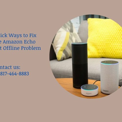 Fix The Amazon Echo Dot Offline Problem