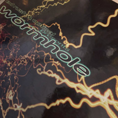 Schranzie enters Wormhole [100% VinyLove]