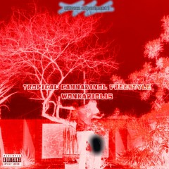 Tropical Cannabinol Freestyle