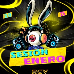 SESIÓN ENERO 2025 (RCV)