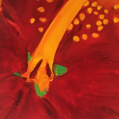 Oost west thuis noorderzon