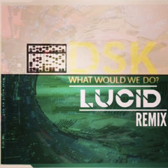 DSK. What Would We Do (Drill Refix)