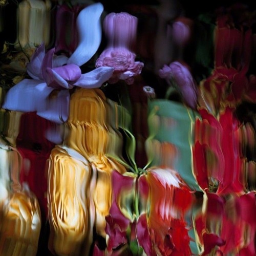 THIS IS MOKK 002