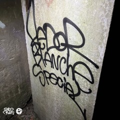 Fedor Blanche - Special
