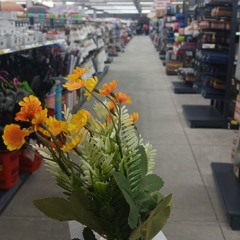 2. No_podre_cambiarte_demo.wav