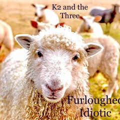 Furloughed Idiotic (Acoustic) 2025
