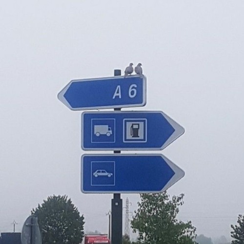 dur à dire