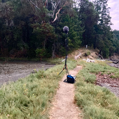 Montague Harbour - Galiano Aug 6 - 2023-0530
