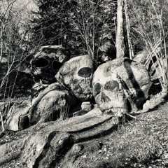 Mental Tribe Trip