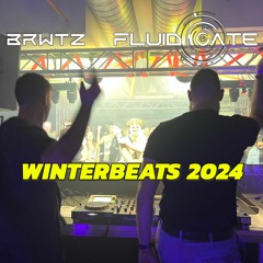 BRWTZ & Fluid Gate @ WINTERBEATS Festival 2024 (Full Psytrance Set)