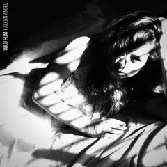 Fallen Angel - Wild Hum