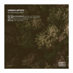 PREMIERE: Paul Angelo & Don Argento - Durendal (Hot Tuneik Remix) [Sound Avenue]