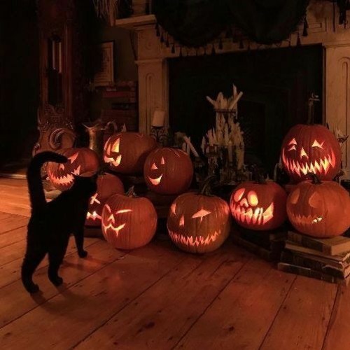 Halloween + kenzo98