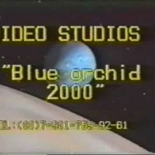 Stream Blue Orchid 2000 Kdv Russian Flowers from Gibialgo Listen