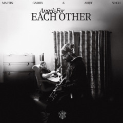 Tu Meri x Angels For Each Other - Arijit Singh x Martin Garrix x Vishal Dadlani