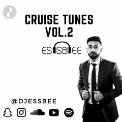 Cruise Tunes Vol. 2