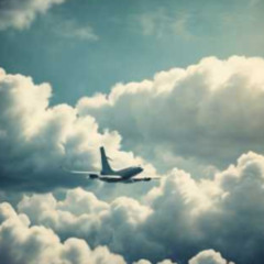 Ukrainian plane in the air