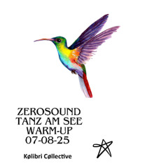 ZeroSound- Tanz am See 2 Warm Up [07-08-25]