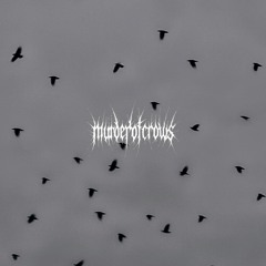 murderofcrows