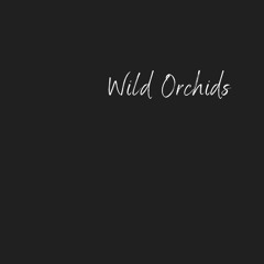 Wild Orchids