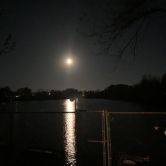 saw Donald Trump in Harrisburg, i was in the honda civic Feat. Trasco (prod. unworthycanofbeans)