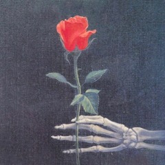 Não a rosas sem espinhos