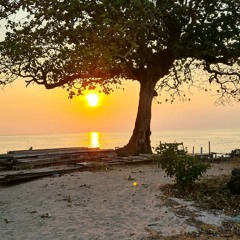 Everything Is Gonna Be Alright 🎶