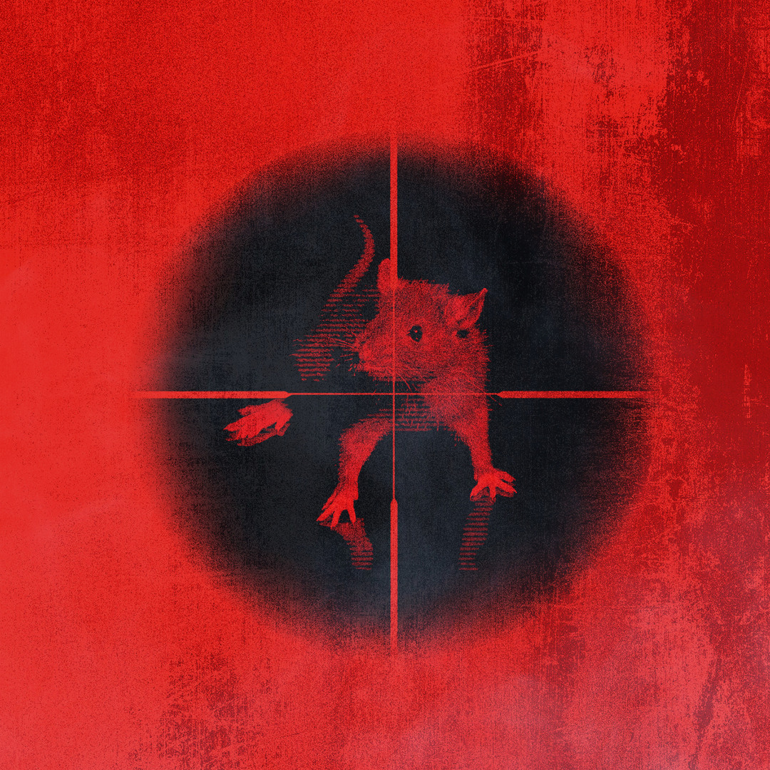 artworks-vELdW2zh8nWw-0-
