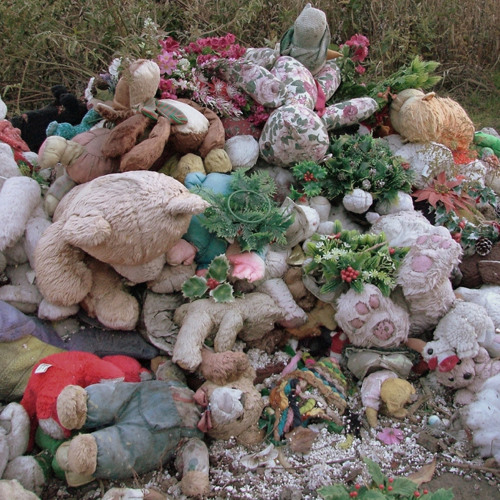 (sandy) alex g - zuicide