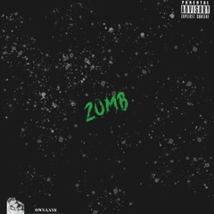 ZIGLANE - ENVY