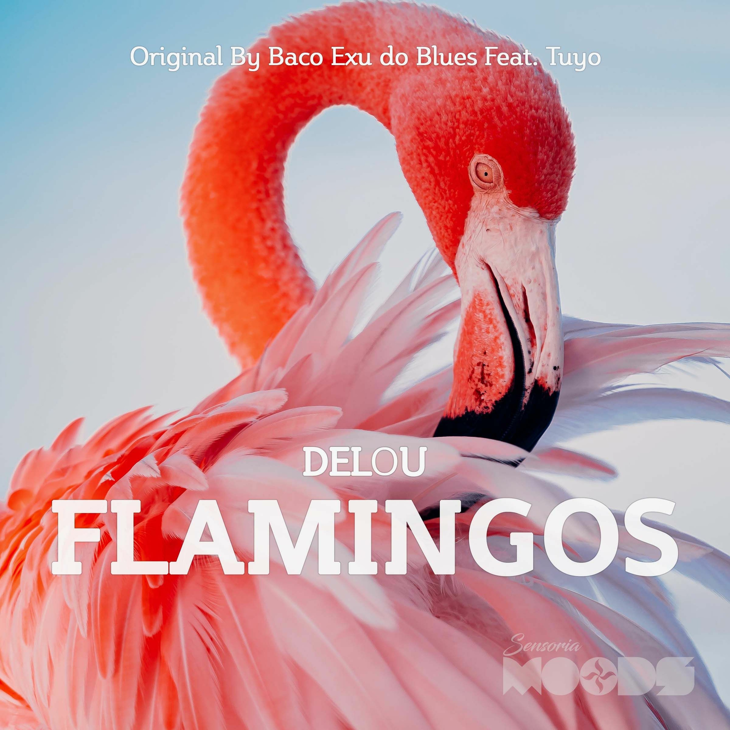 Delou - Flamingos (Remix) Original By Baco Exu Do Blues Feat. Tuyo (Free Download) episode artwork