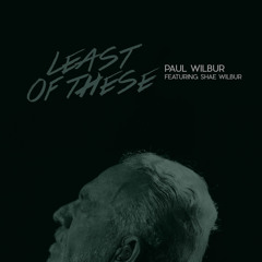 Least Of These (feat. Shae Wilbur)