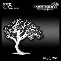 FR159 - Zillin - The Experiment (Fruition Records)
