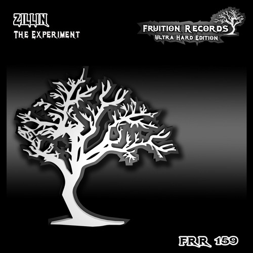 FR159 - Zillin - The Experiment (Fruition Records)