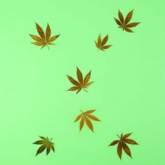Hype Williams - 01 Untitled