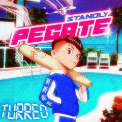Pegate (Standly Turreo Edit)