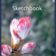 Ebook PDF  ⚡ Sketchbook for Kids and Adults: Blank Paper Notebook for Drawing, Writing, Sketching,