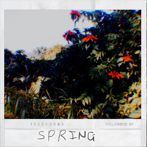 S.P.R.I.N.G.