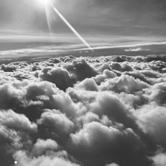 sunnflip46