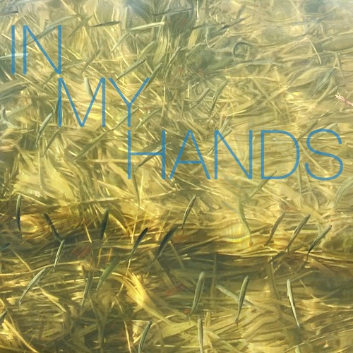 Niklas Worgt "In My Hands" (Fruehling Records)