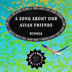a song about our avian friends