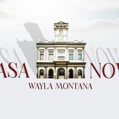 Wayla Montana - Destruida.mp3