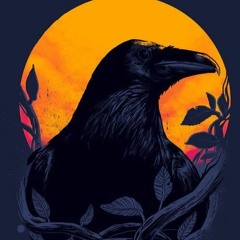 Raven - 100 100 | ميه ميه