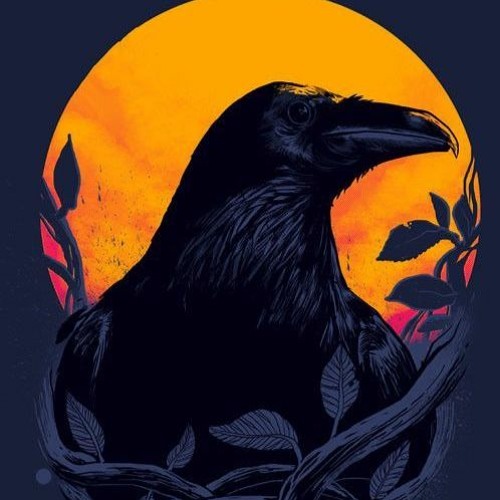 Raven - 100 100 | ميه ميه