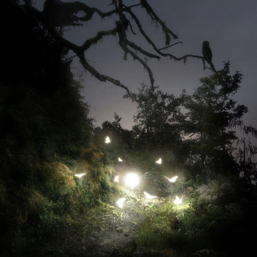 Repercussions@overach1ever_