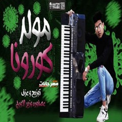 مولد فيرس كورونا عصفوره وزيرالاورج 2020