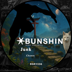 Junk - Chance (FREE DOWNLOAD)
