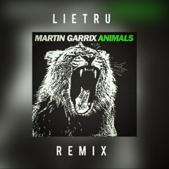 Martin Garrix - Animals (Lietru Techno Remix)