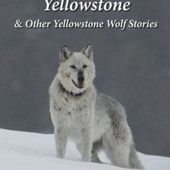 ACCESS EPUB 📮 The Grand Lady of Yellowstone: & Other Yellowstone Wolf Stories by  Br