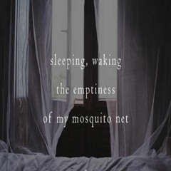OneAmbient4 - Sleeping - The Emptiness (Naviarhaiku 324)